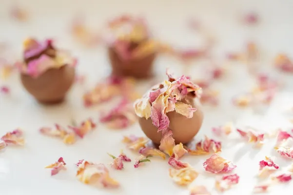 Bet24star Cazino Cazinou Aplicație Android/iOS